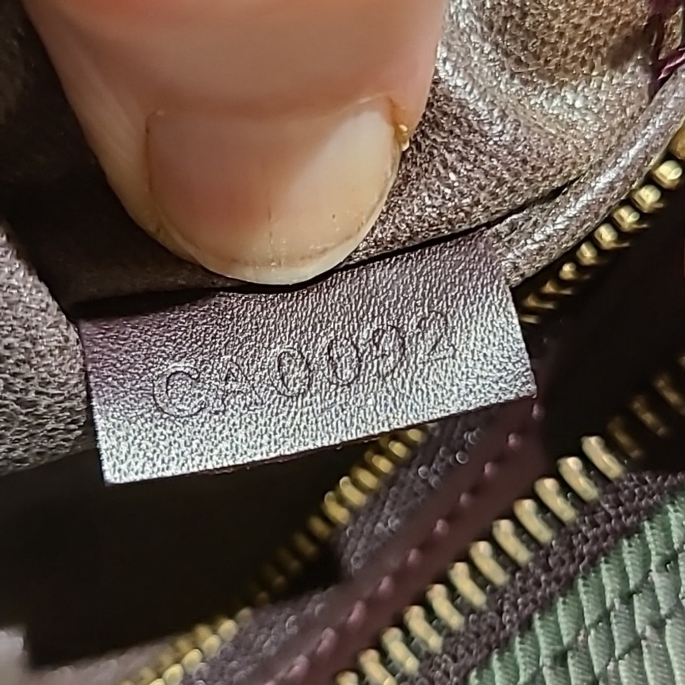 Louis Vuitton Tiaga Palana toiletry bag brown to green ombre color - Picture 12 of 16